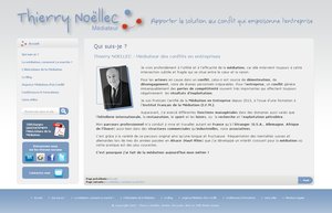 Ms2i - Réalisation Site Web www.thierry-noellec-mediation.com