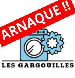 Gargouilles : la vérité sur ces boules en plastique qui lavent l’esprit critique